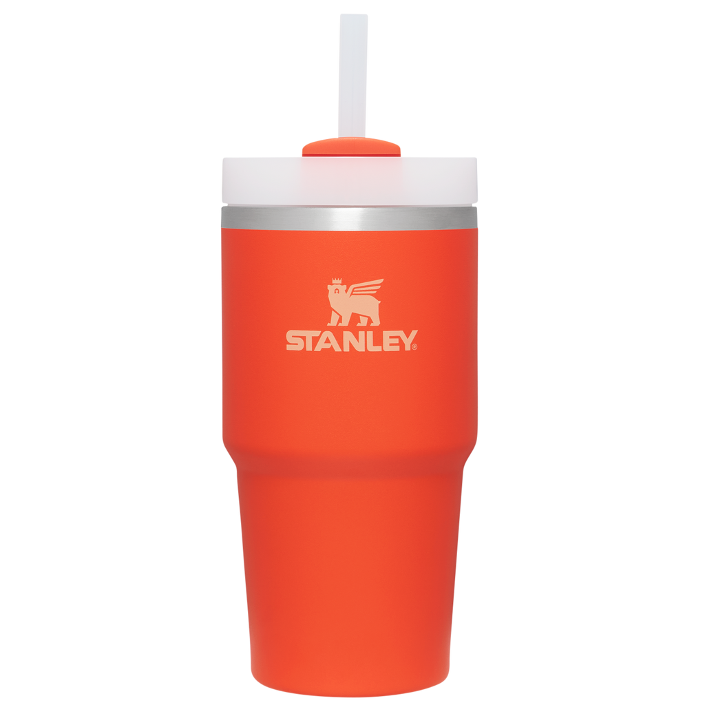 Splash-Resistant FlowState The Quencher H2.0 Flowstate Tumbler D030T - Premium Stainless Steel Straw Cup for All-Day Hydration - Tigerlily
