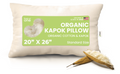 Orthopedic Support Kapok 20x26" Standard Bed Pillow – Organic Cotton Fabric Soft Sleeping Pillow - Made in USA - Orthopedic Shredded Foam Bed Pillow Set - Default Title