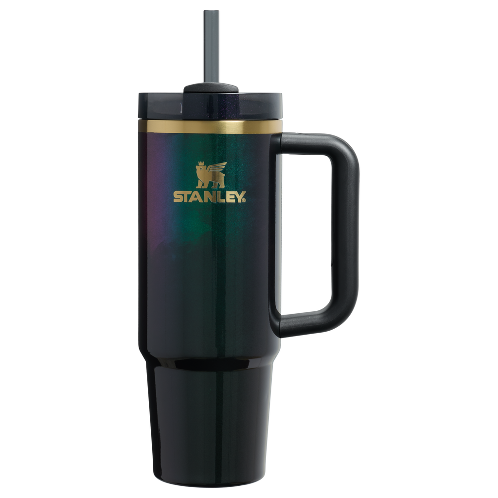 Splash-Resistant FlowState The Wicked for Good Quencher H2.0 Flowstate Tumbler D246P - Premium Stainless Steel Straw Cup for All-Day Hydration - Elphaba For Good