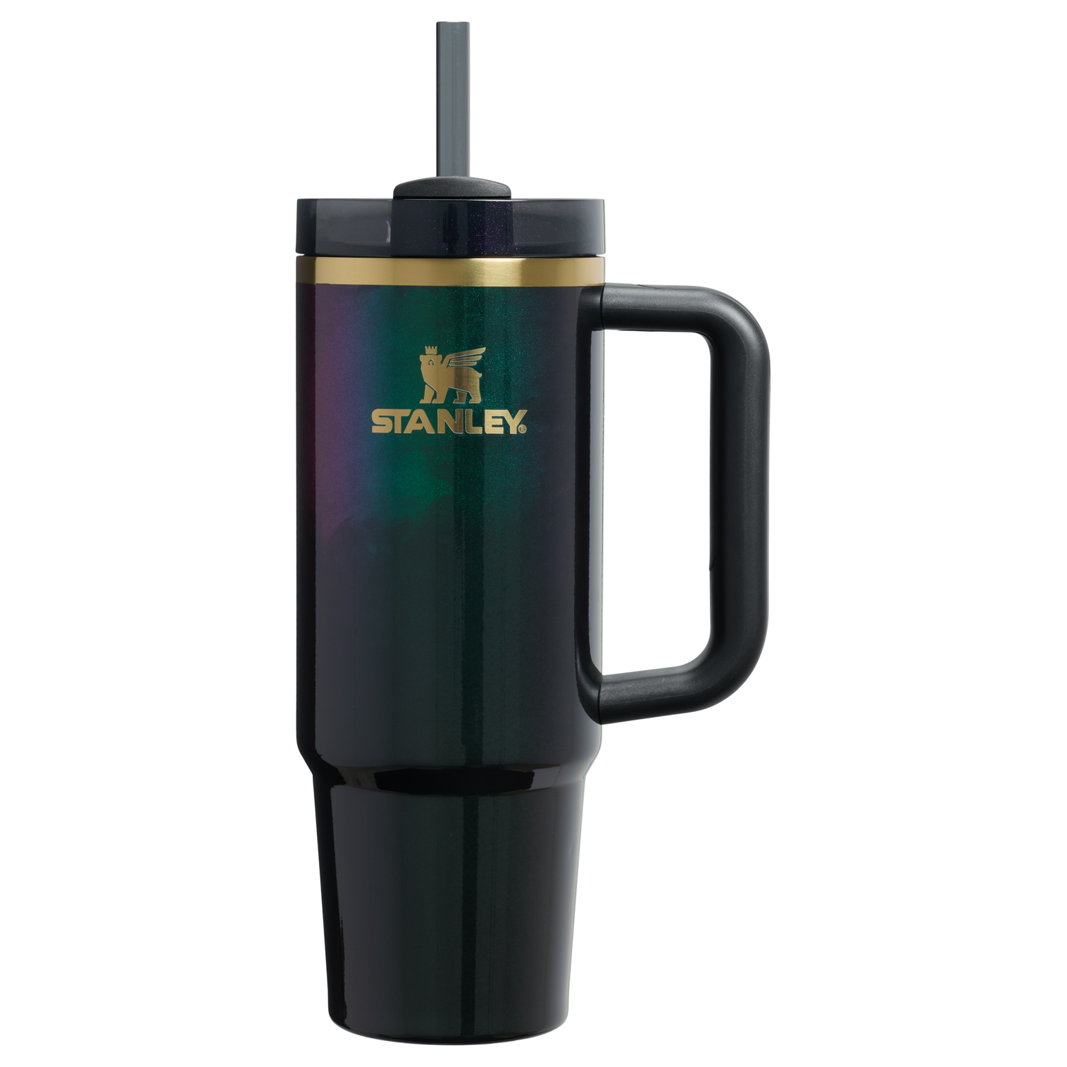 Splash-Resistant FlowState The Wicked for Good Quencher H2.0 Flowstate Tumbler D246P - Premium Stainless Steel Straw Cup for All-Day Hydration - Elphaba For Good