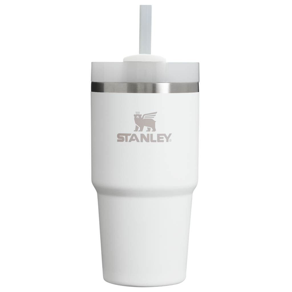 Splash-Resistant FlowState The Quencher H2.0 Flowstate Tumbler D030T - Premium Stainless Steel Straw Cup for All-Day Hydration - Frost