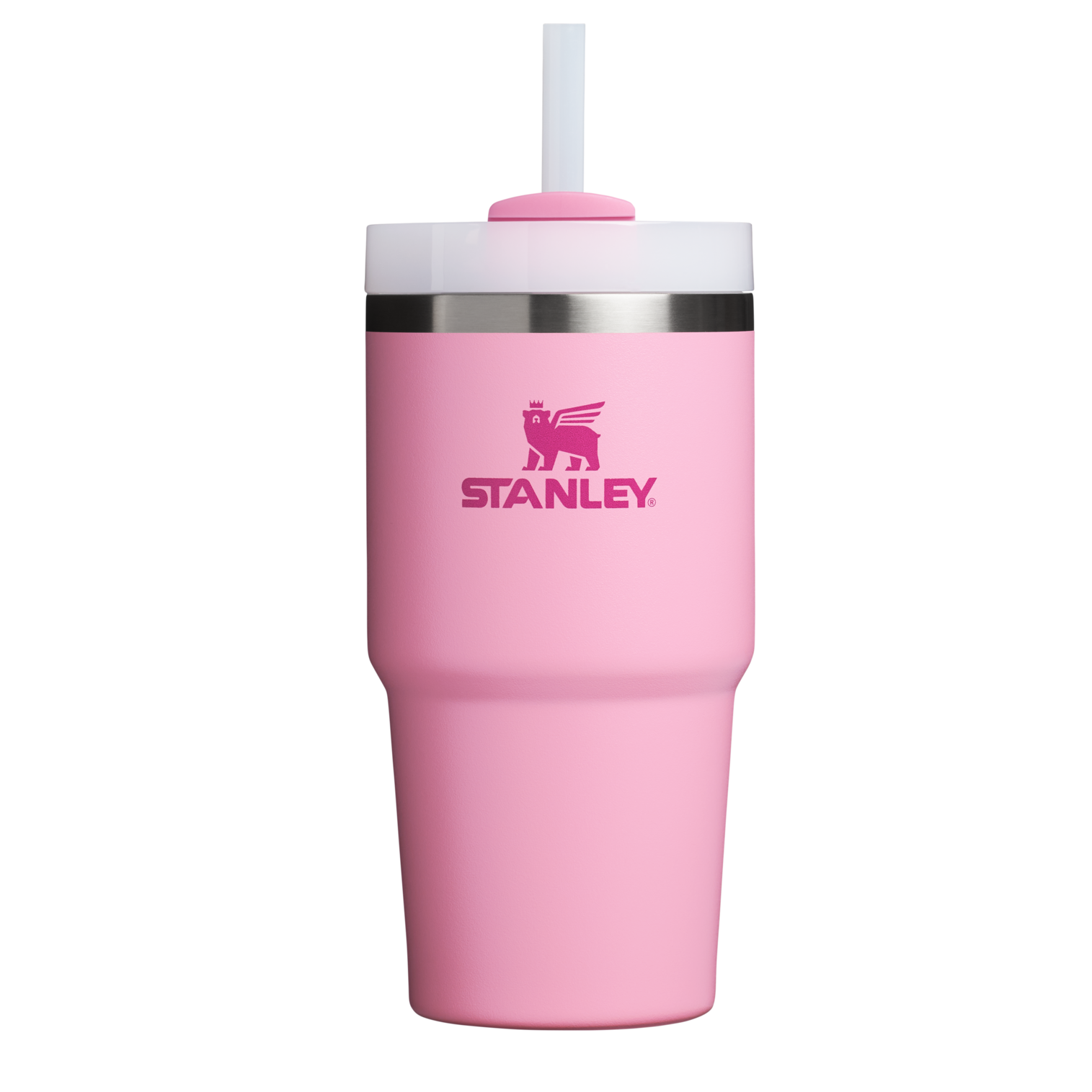 Splash-Resistant FlowState The Quencher H2.0 Flowstate Tumbler D030T - Premium Stainless Steel Straw Cup for All-Day Hydration - Ash